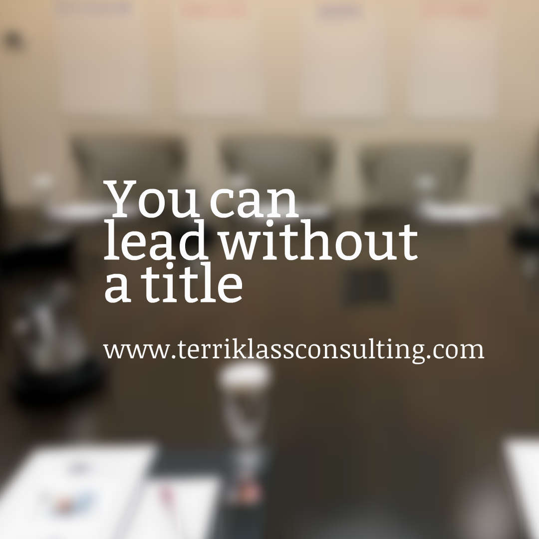 how-to-be-taken-seriously-with-no-formal-title-terri-klass-consulting