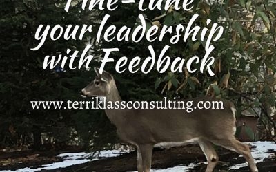 Six Reasons Why Leaders Need Feedback