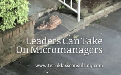 Five Leadership Maneuvers To Deal With A Micromanager