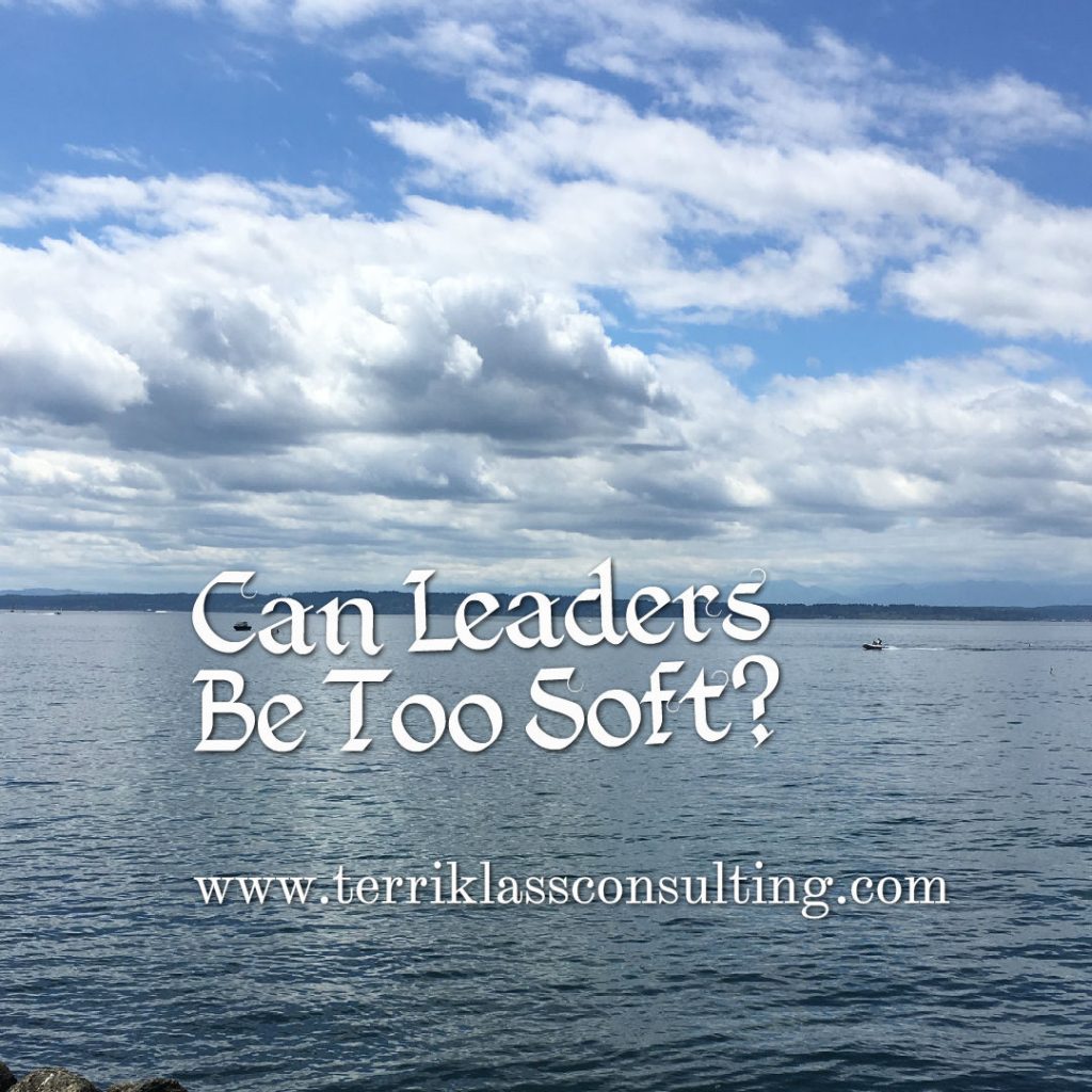 pic-for-soft-leadership-terri-klass-consulting