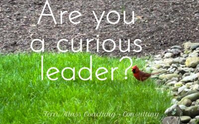 Are You Leading With Curiosity Or Control?