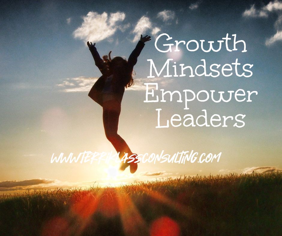 Six Growth Mindset Techniques For Leaders | Terri Klass Consulting