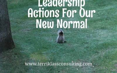 Four Leadership Strategies For The New Normal