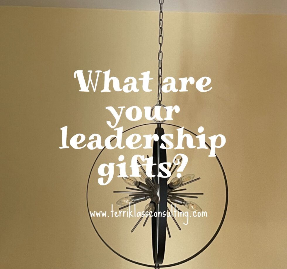 let-out-your-leadership-gifts-terri-klass-consulting