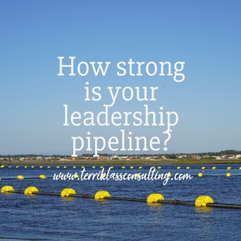 Five Commitments For Developing A Leadership Pipeline | Terri Klass ...