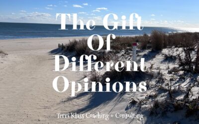 The Gift Of Different Opinions